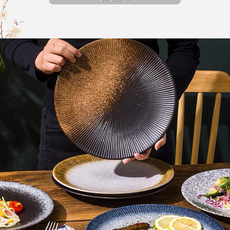 MIYUNO パスタ皿 皿 カレー皿 丸皿 プレート 焼物皿 ケーキ皿 焼き物皿 デザートプレート 取り皿 刺身皿 和食器 和皿 魚 お皿 食器セット 魚焼き器 dish 大皿 丸 陶器 陶盤 割れない 耐熱 電子レンジ 食洗機対応 和風 あじわい おしゃれ 業務用 レストラン 居酒屋 25.3cm 3枚セット TCPYX14