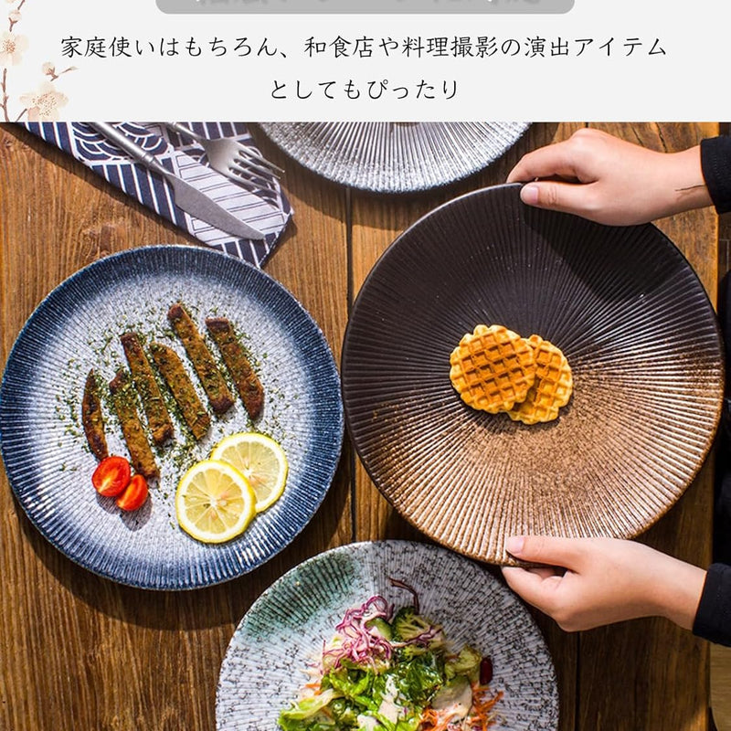 MIYUNO パスタ皿 皿 カレー皿 丸皿 プレート 焼物皿 ケーキ皿 焼き物皿 デザートプレート 取り皿 刺身皿 和食器 和皿 魚 お皿 食器セット 魚焼き器 dish 大皿 丸 陶器 陶盤 割れない 耐熱 電子レンジ 食洗機対応 和風 あじわい おしゃれ 業務用 レストラン 居酒屋 25.3cm 3枚セット TCPYX14